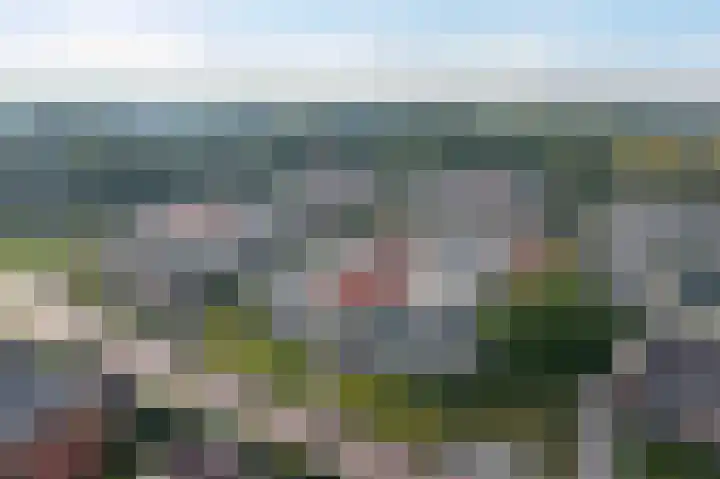 Lijsterbesstraat 72 Roden thumbnail 5