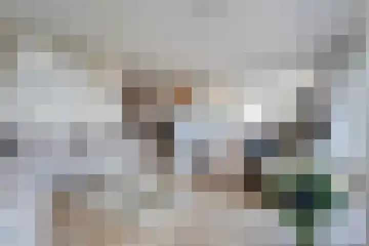 Lijsterbesstraat 72 Roden thumbnail 9