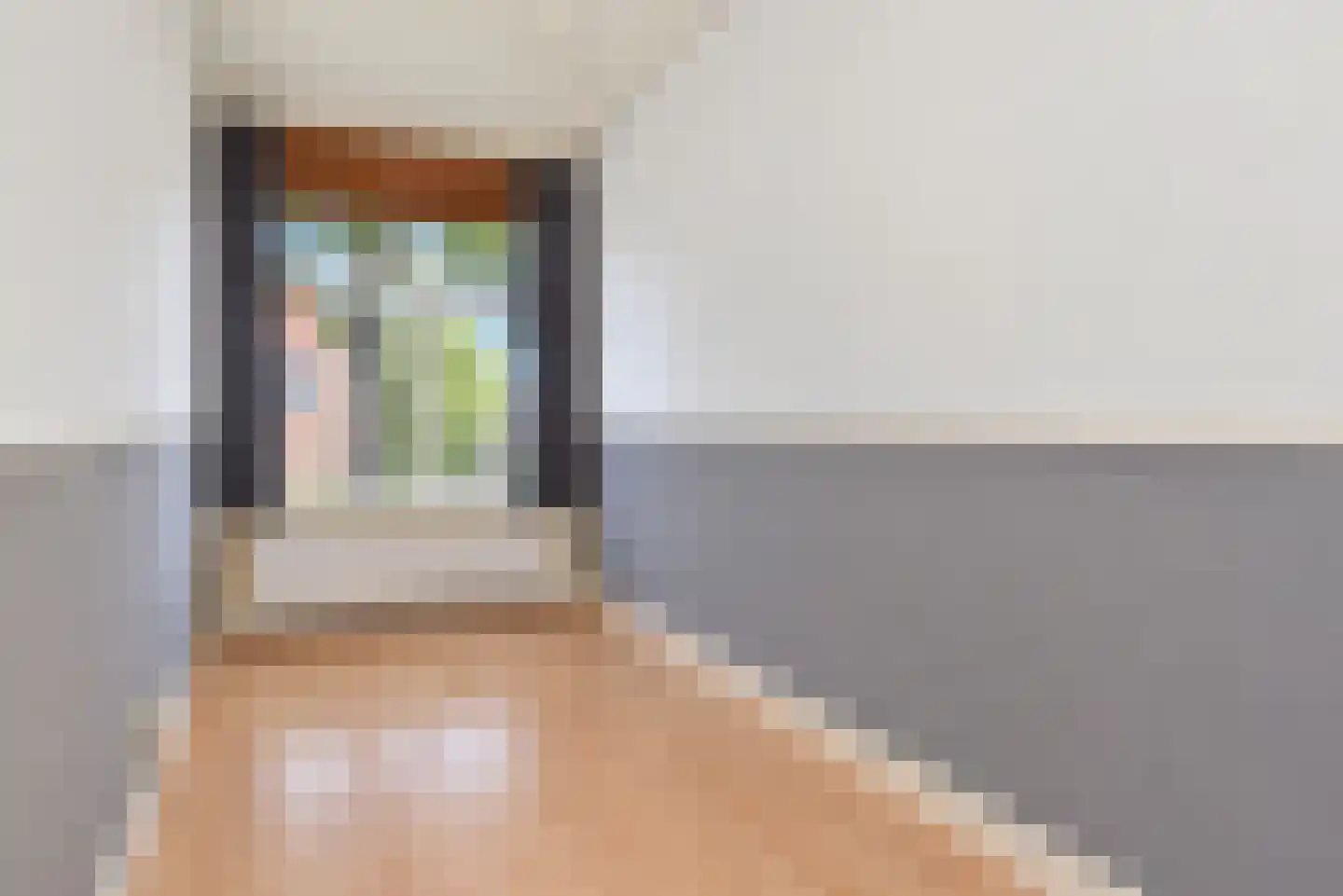 Lijsterbesstraat 75 Den Haag thumbnail 7