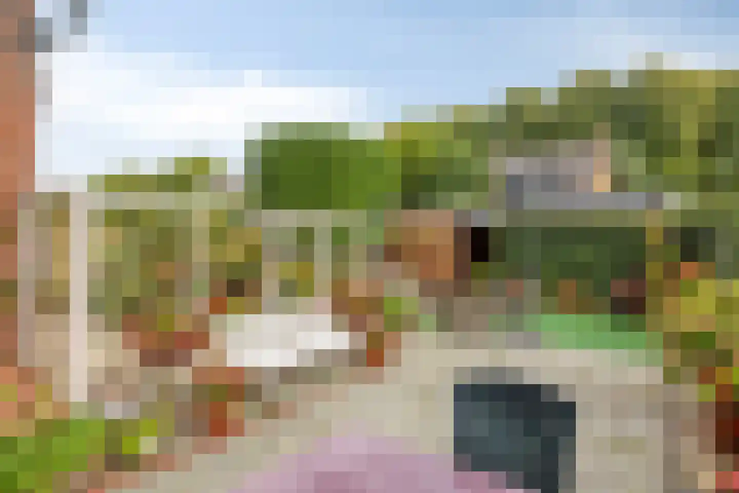 Lijsterbesstraat 78 Dordrecht thumbnail 11