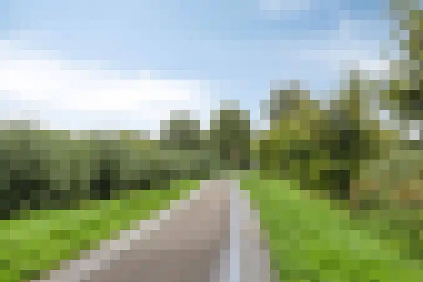 Lijsterbesstraat 78 Dordrecht thumbnail 33