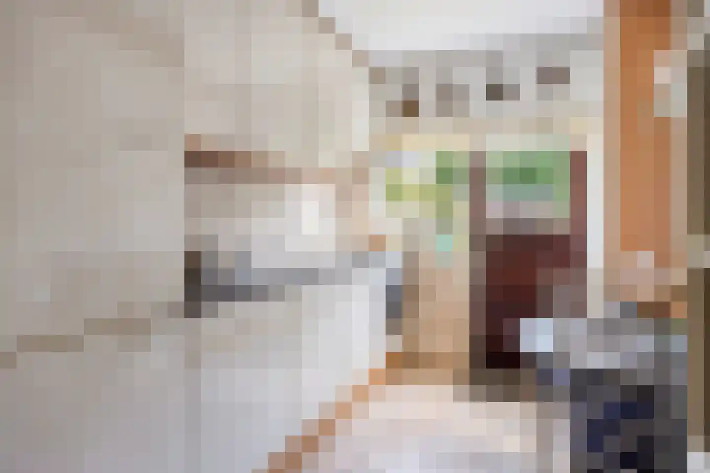 Lijsterbesstraat 78 Dordrecht thumbnail 5