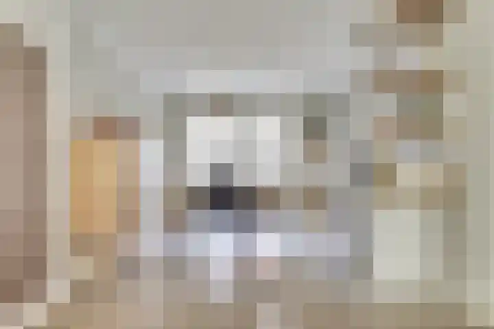 Lijsterbesstraat 8 Nieuwerkerk thumbnail 10