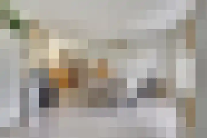 Lijsterbesstraat 8 Nieuwerkerk thumbnail 11