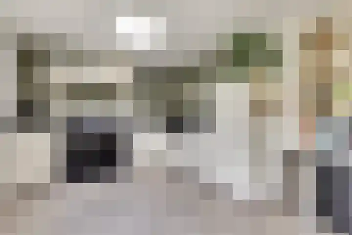 Lijsterbesstraat 8 Nieuwerkerk thumbnail 12
