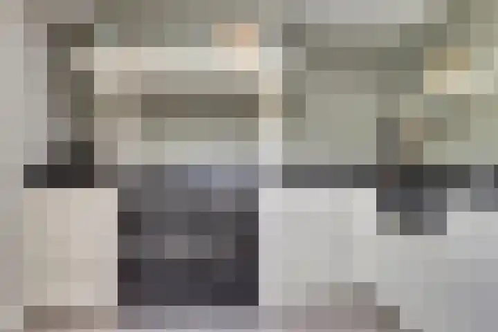 Lijsterbesstraat 8 Nieuwerkerk thumbnail 13