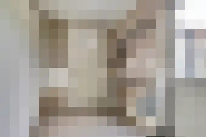 Lijsterbesstraat 8 Nieuwerkerk thumbnail 16