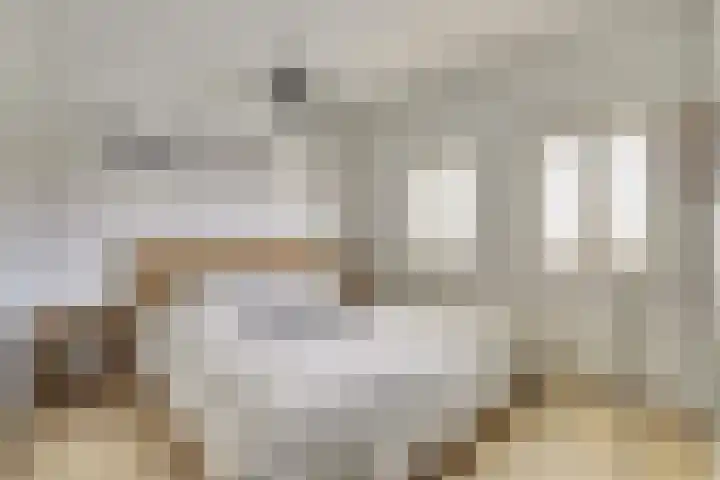 Lijsterbesstraat 8 Nieuwerkerk thumbnail 18