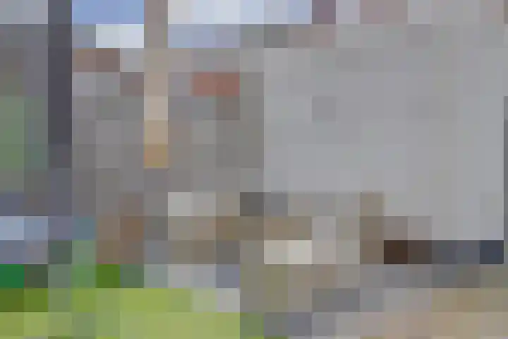 Lijsterbesstraat 8 Nieuwerkerk thumbnail 26