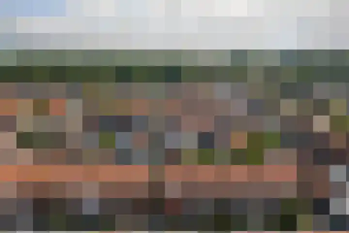 Lijsterbesstraat 8 Nieuwerkerk thumbnail 30