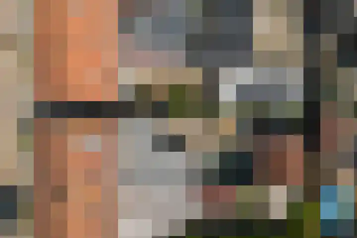 Lijsterbesstraat 8 Nieuwerkerk thumbnail 31