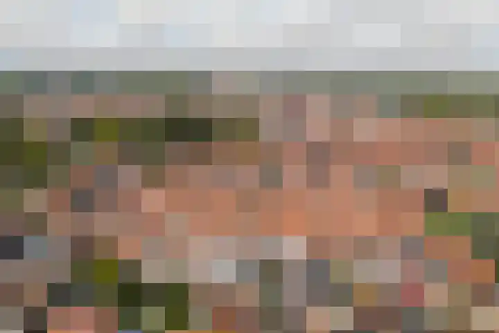 Lijsterbesstraat 8 Nieuwerkerk thumbnail 32