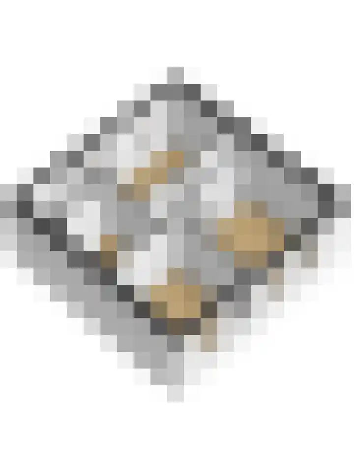 Lijsterbesstraat 8 Nieuwerkerk thumbnail 39