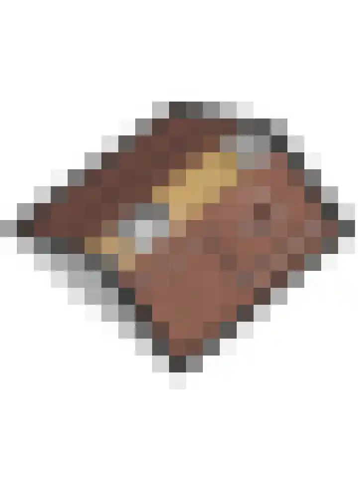 Lijsterbesstraat 8 Nieuwerkerk thumbnail 40