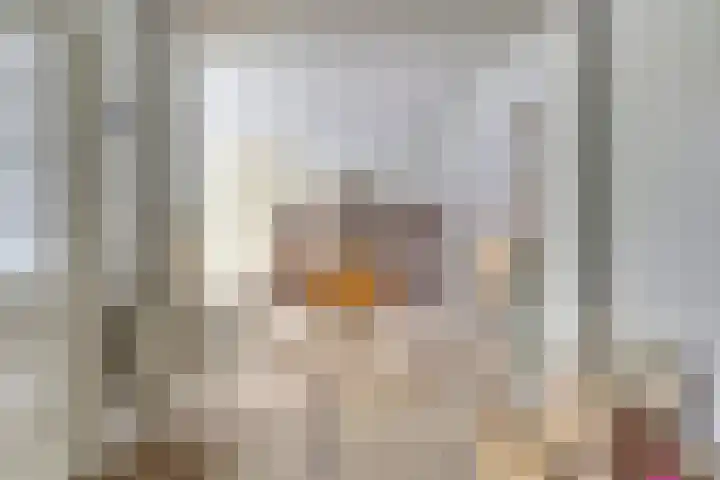 Lijsterbesstraat 8 Nieuwerkerk thumbnail 6