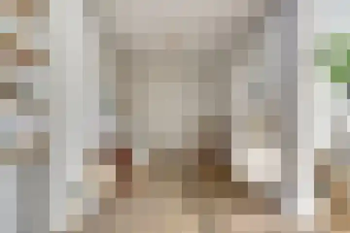 Lijsterbesstraat 8 Nieuwerkerk thumbnail 7