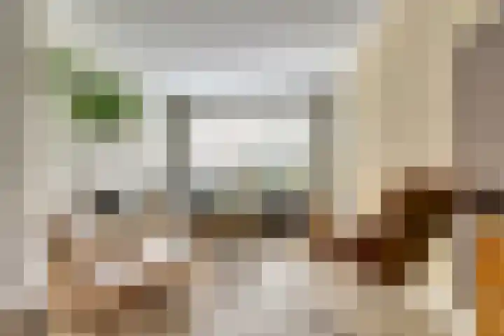 Lijsterbesstraat 8 Nieuwerkerk thumbnail 8