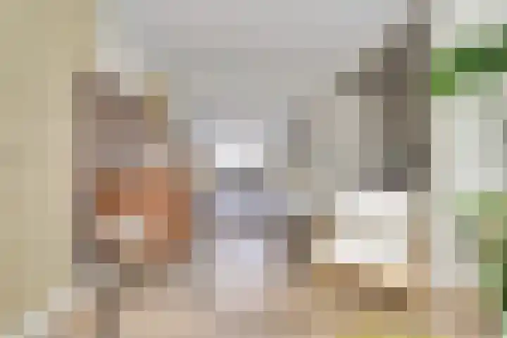 Lijsterbesstraat 8 Nieuwerkerk thumbnail 9