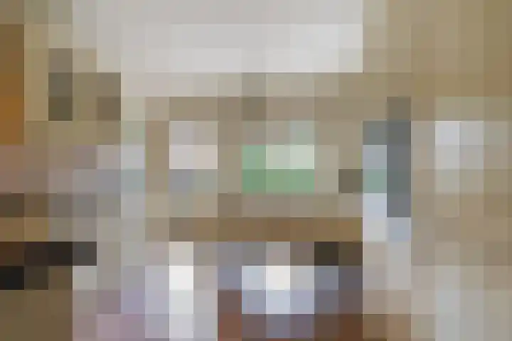 Lijsterbesstraat 8 Waalwijk thumbnail 14