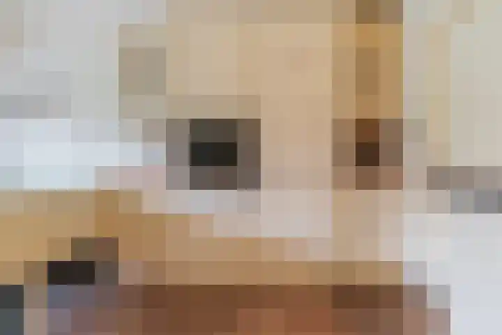 Lijsterbesstraat 8 Waalwijk thumbnail 15