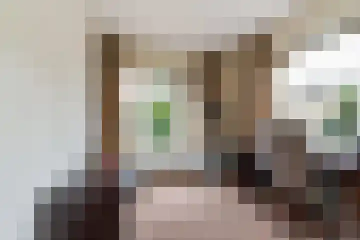 Lijsterbesstraat 8 Waalwijk thumbnail 19