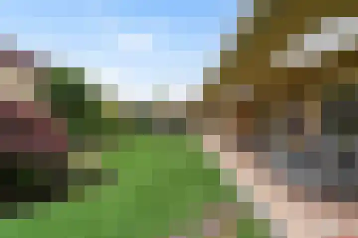 Lijsterbesstraat 8 Waalwijk thumbnail 24