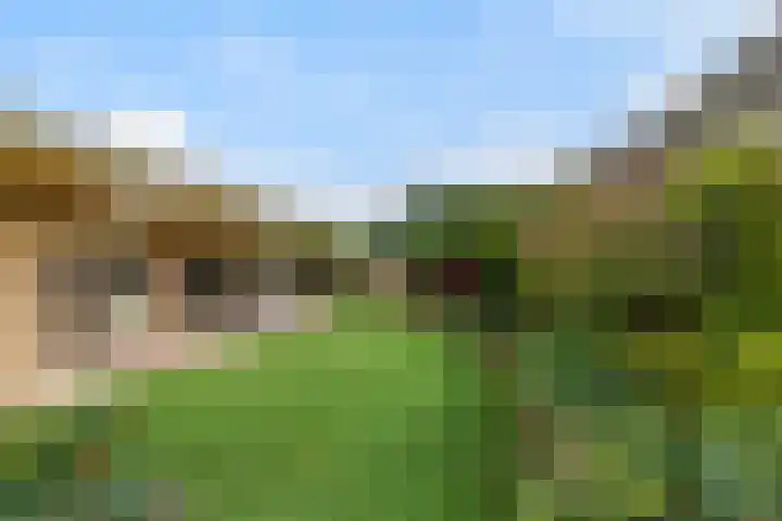 Lijsterbesstraat 8 Waalwijk thumbnail 25
