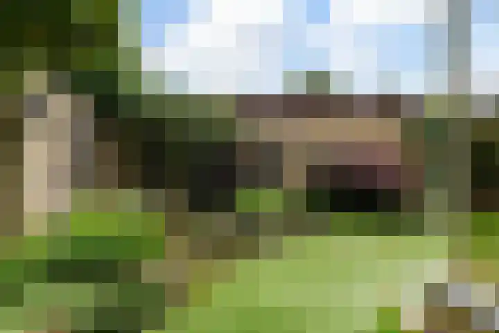 Lijsterbesstraat 8 Waalwijk thumbnail 26