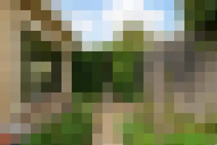 Lijsterbesstraat 8 Waalwijk thumbnail 28