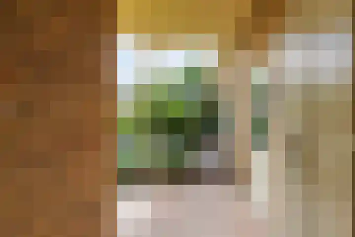 Lijsterbesstraat 8 Waalwijk thumbnail 29