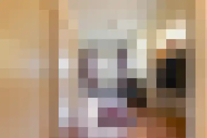 Lijsterbesstraat 8 Waalwijk thumbnail 5