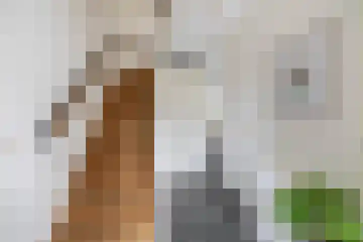 Lijsterbesstraat 84 Millingen aan de Rijn thumbnail 10