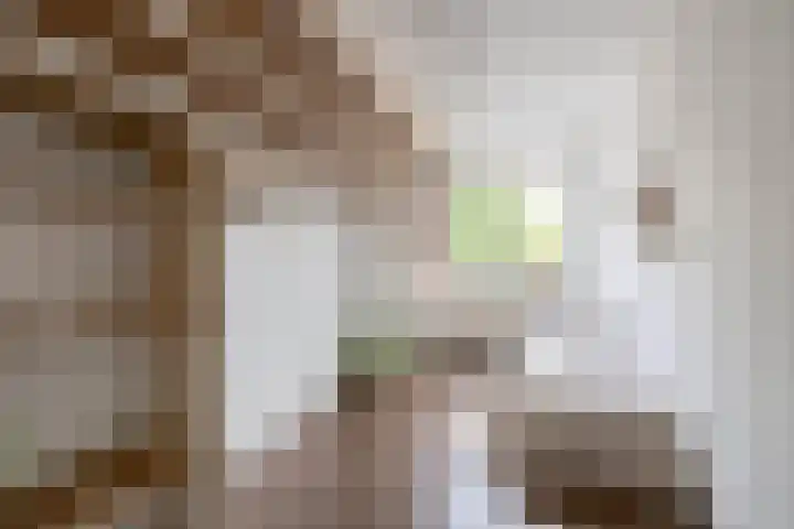Lijsterbesstraat 84 Millingen aan de Rijn thumbnail 26