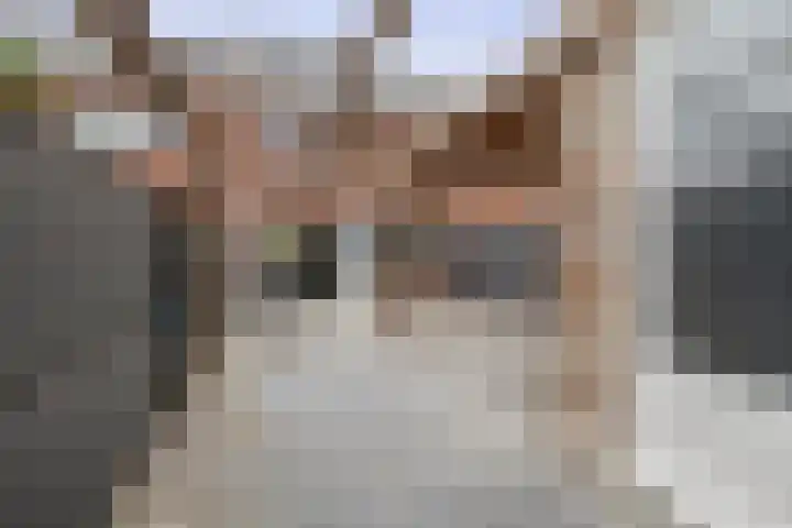 Lijsterbesstraat 84 Millingen aan de Rijn thumbnail 33