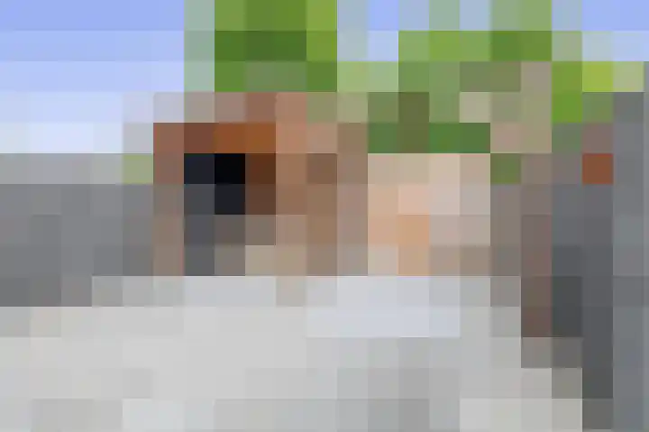 Lijsterbesstraat 84 Millingen aan de Rijn thumbnail 34