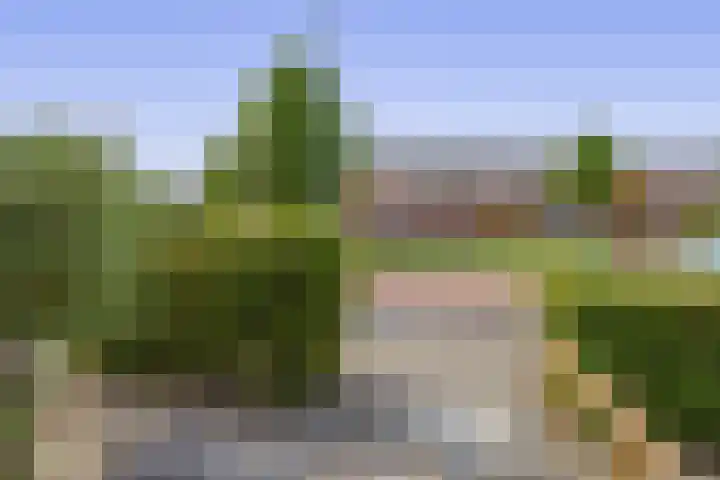 Lijsterbesstraat 84 Millingen aan de Rijn thumbnail 37