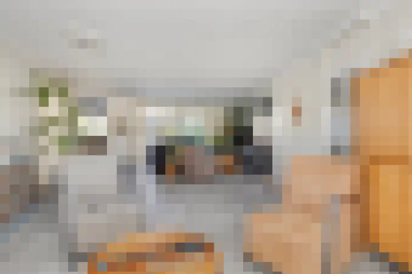 Lijsterbesstraat 9 Halsteren thumbnail 12