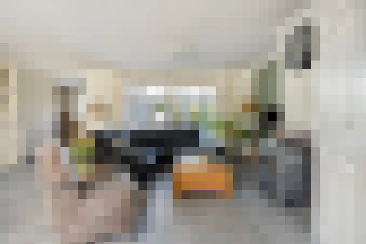 Lijsterbesstraat 9 Halsteren thumbnail 13