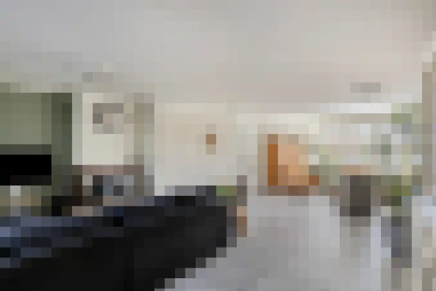 Lijsterbesstraat 9 Halsteren thumbnail 15