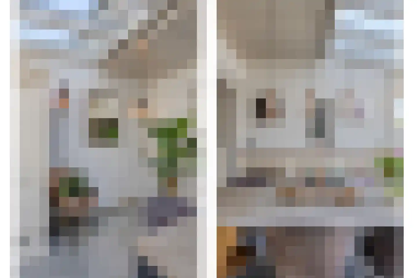 Lijsterbesstraat 9 Halsteren thumbnail 17