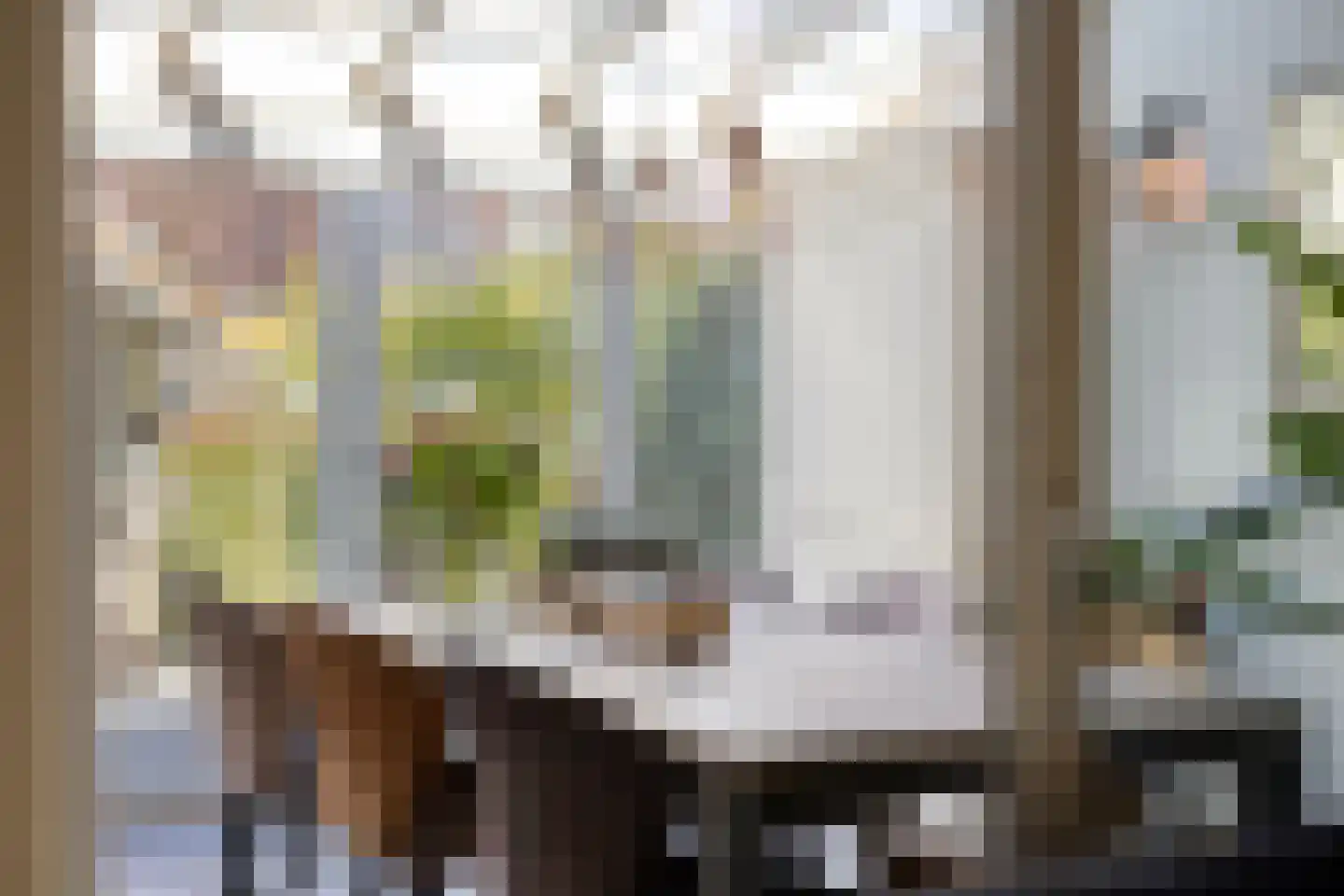 Lijsterbesstraat 9 Halsteren thumbnail 18