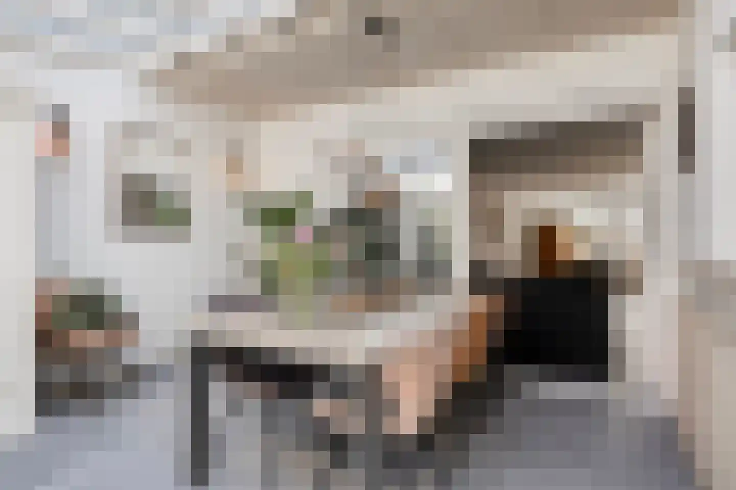 Lijsterbesstraat 9 Halsteren thumbnail 20