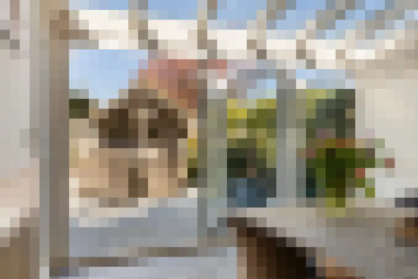 Lijsterbesstraat 9 Halsteren thumbnail 21