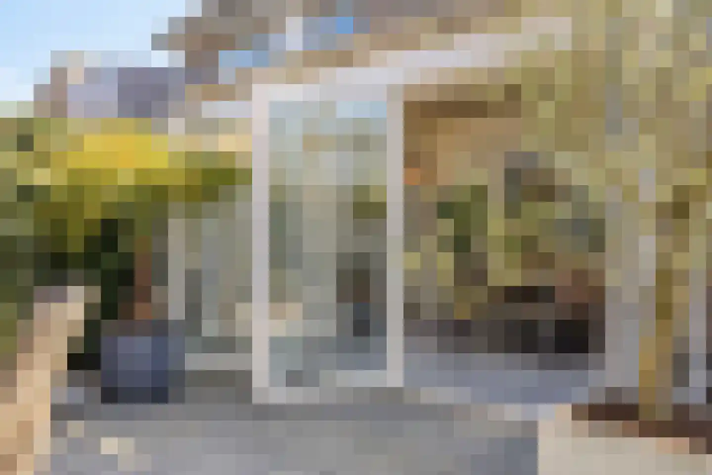 Lijsterbesstraat 9 Halsteren thumbnail 22