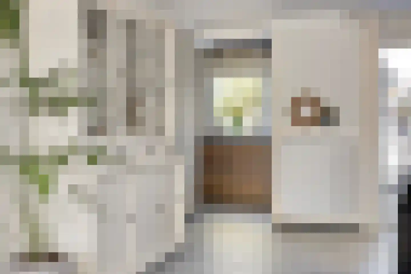 Lijsterbesstraat 9 Halsteren thumbnail 23