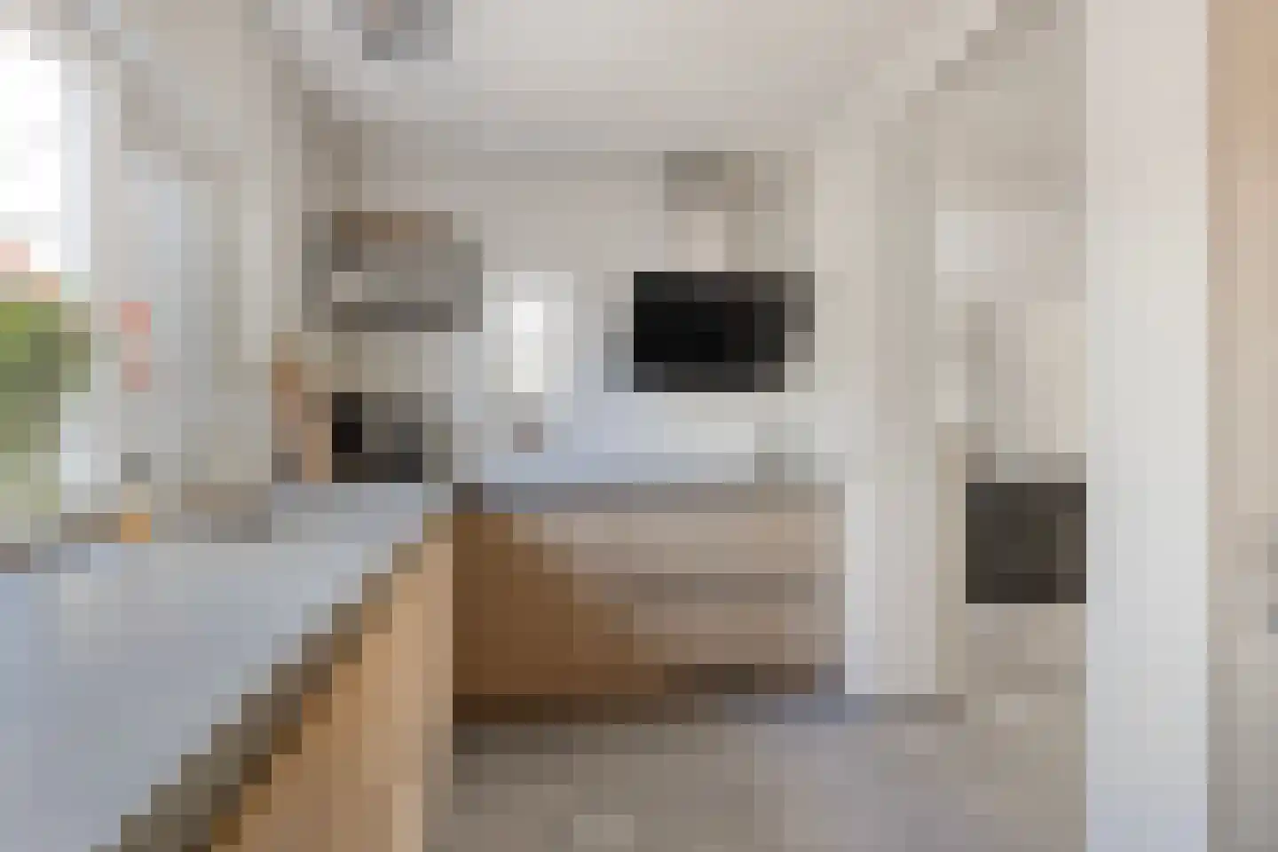 Lijsterbesstraat 9 Halsteren thumbnail 24