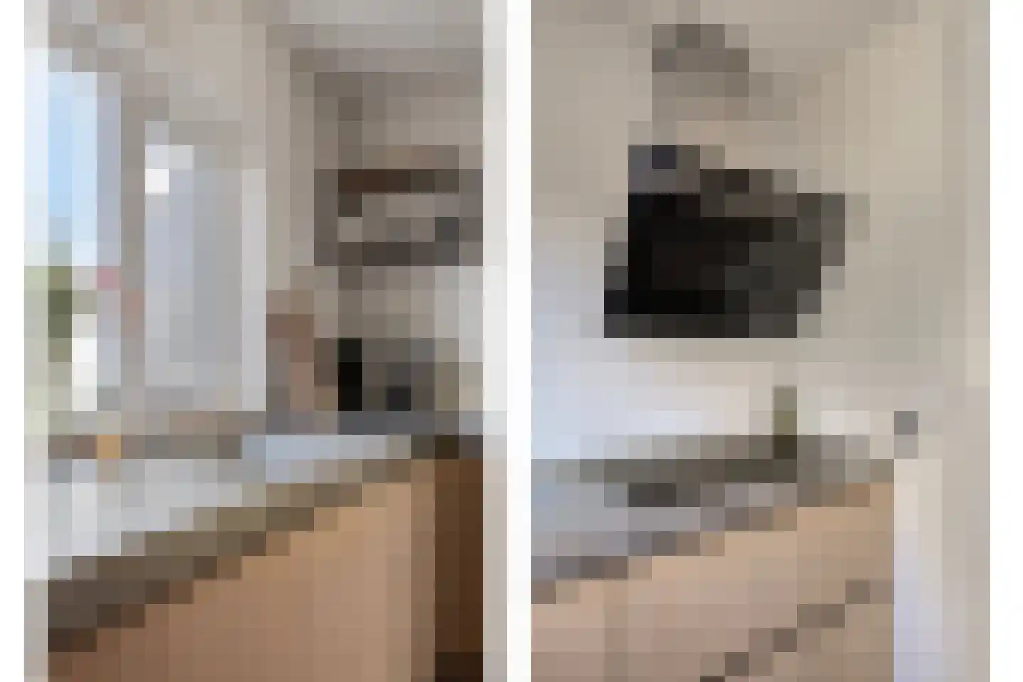 Lijsterbesstraat 9 Halsteren thumbnail 25