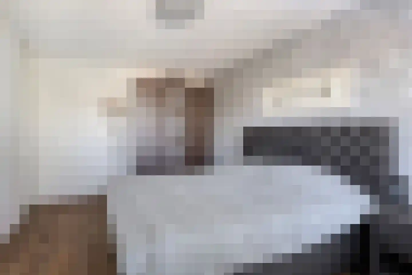 Lijsterbesstraat 9 Halsteren thumbnail 32