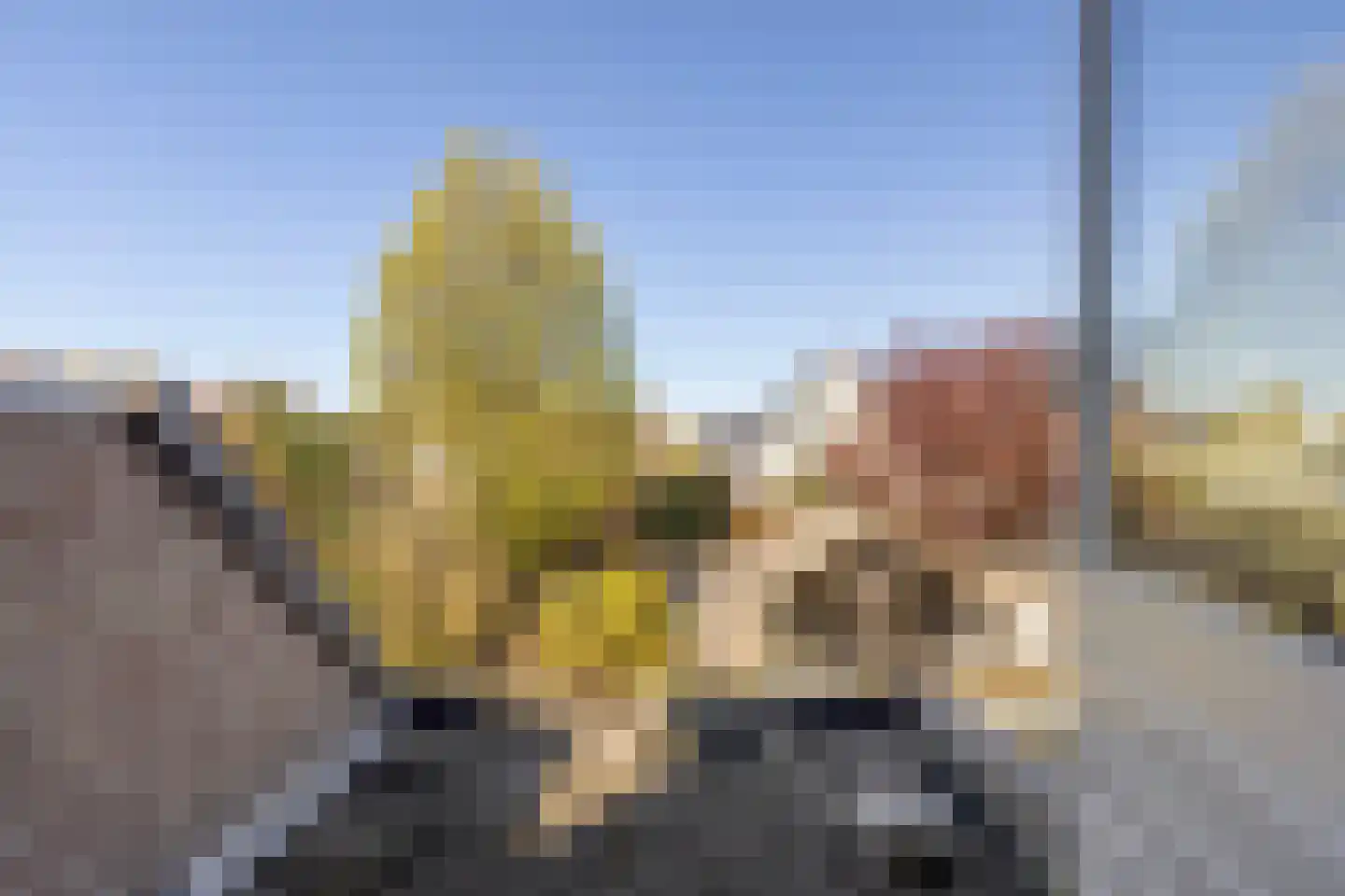 Lijsterbesstraat 9 Halsteren thumbnail 33