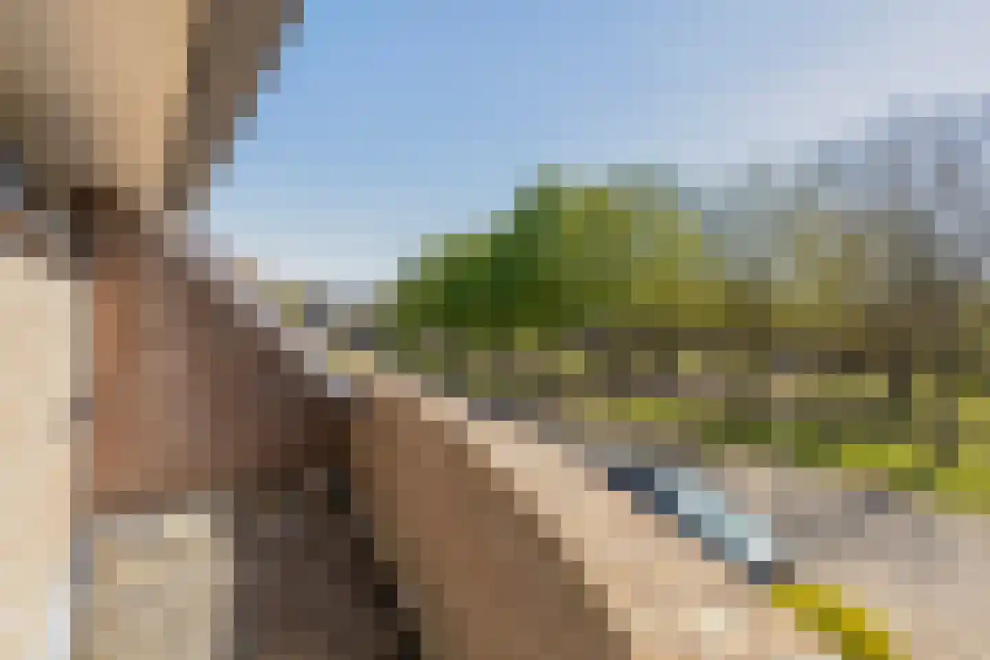 Lijsterbesstraat 9 Halsteren thumbnail 34